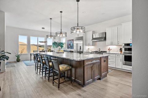 734 Alumroot Street Castle Rock CO 80104