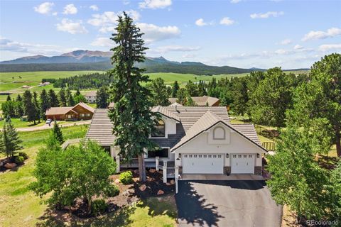 Photo of 133 Matthew Road, Divide, CO 80814 (MLS # 9444188)