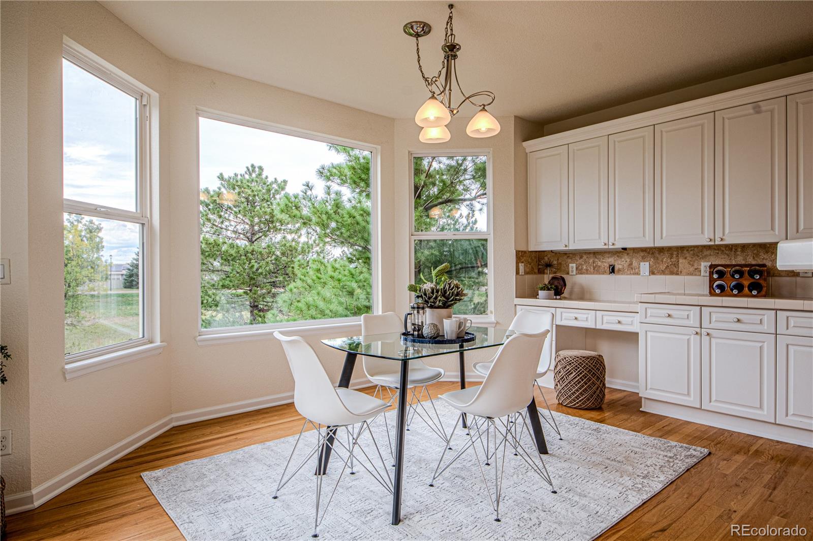 503 N Snowmass Circle