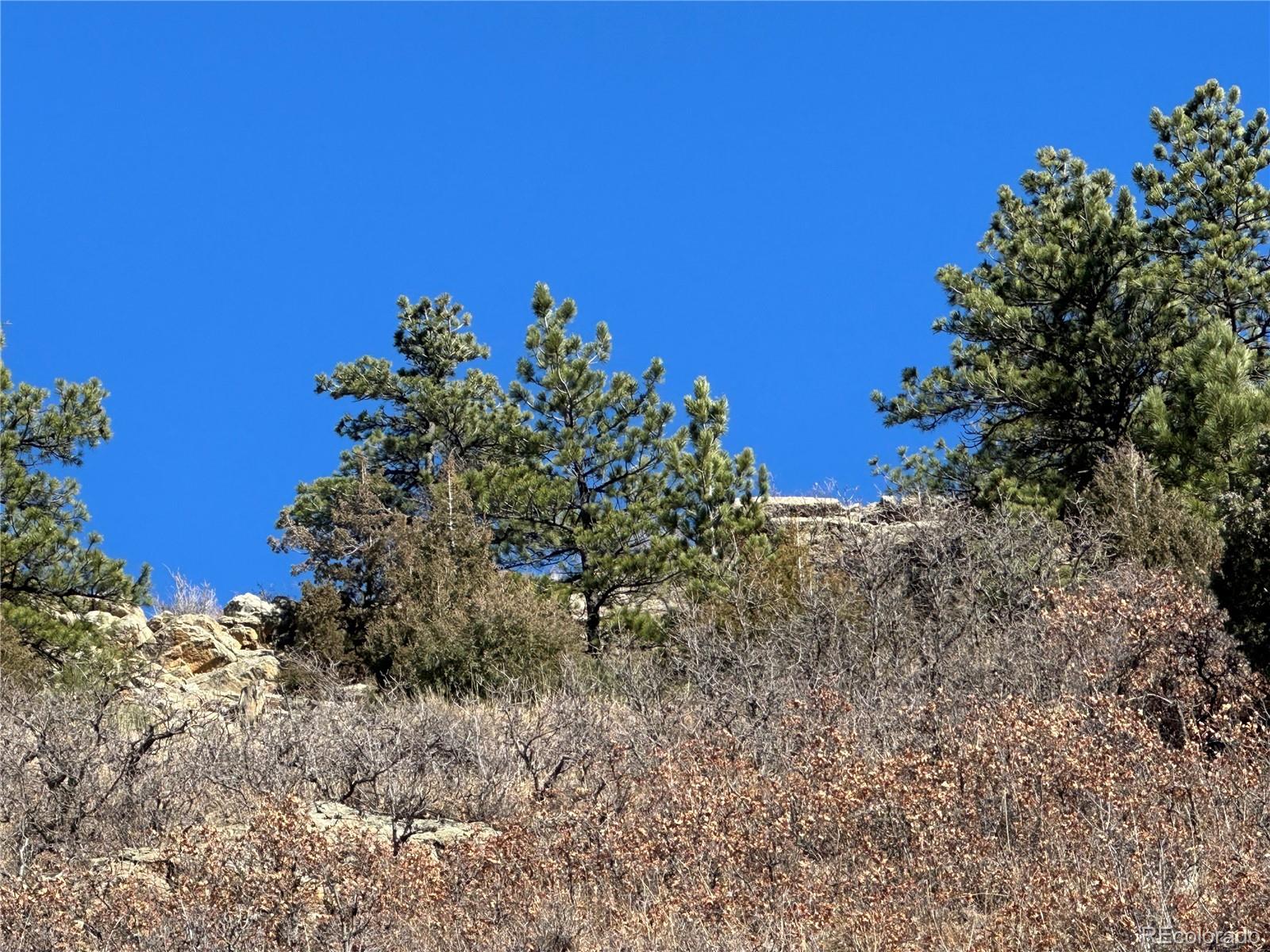 6668 Old Ranch Trail