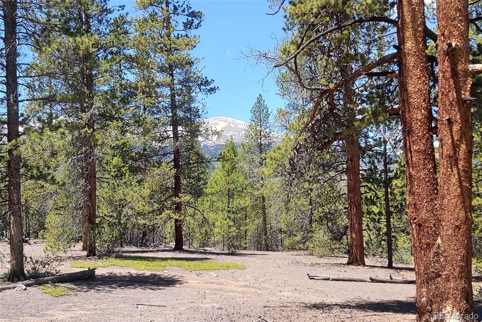 445 Mt Massive Drive