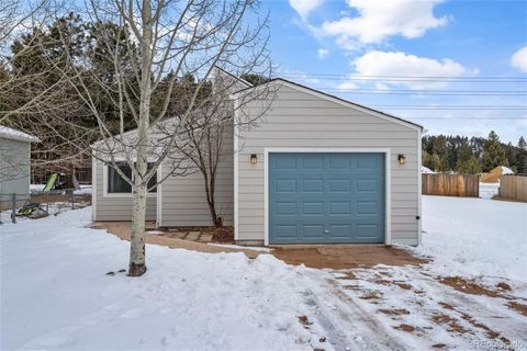 Photo of 1060 Sundance Street, Woodland Park, CO 80863 (MLS # 9679770)