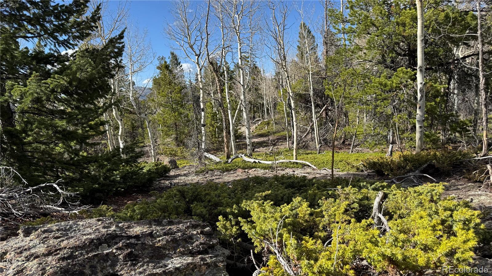 002 Pewabic Mine Road