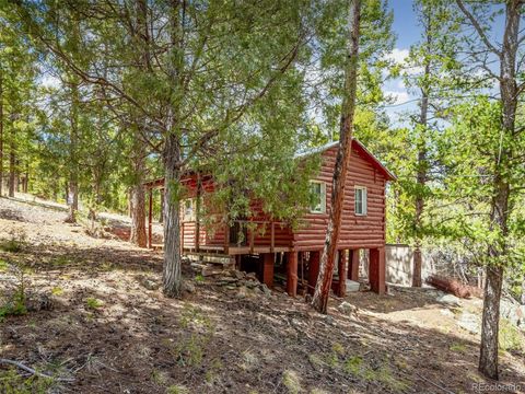 33431 Lake Lane Pine CO 80470