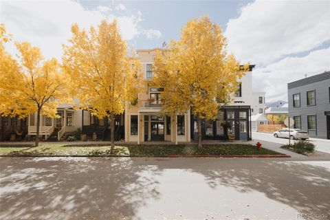 902 S Main St Buena Vista CO 81211