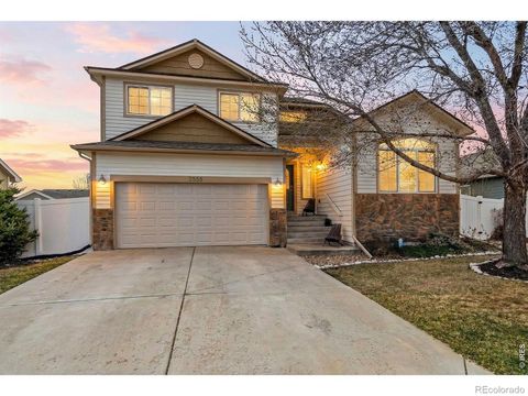 2558 Palmer Avenue Mead CO 80542