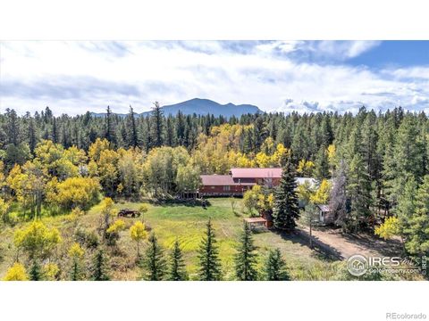 188 Ponderosa Way Nederland CO 80466