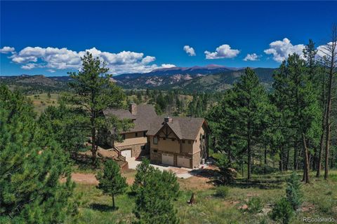 2 Golden Eagle Heights Florissant CO 80816