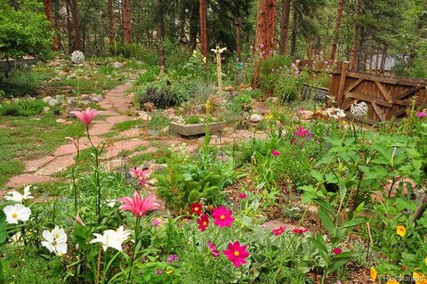 Photo of 3137 Meadow View Road, Evergreen, CO 80439 (MLS # 2593395)