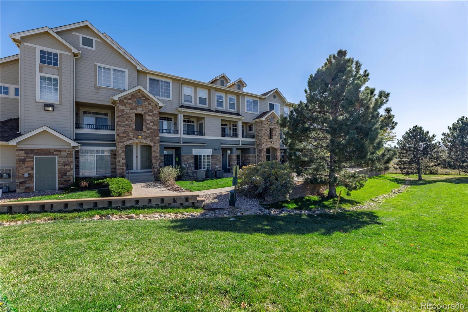 488 Black Feather Loop 218