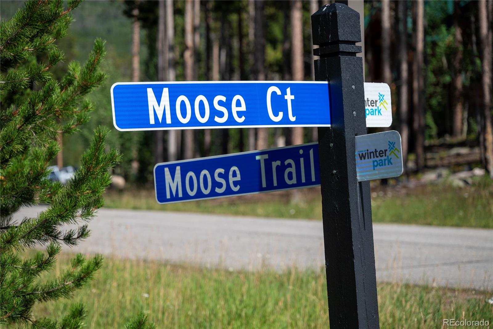 345 Moose Trail