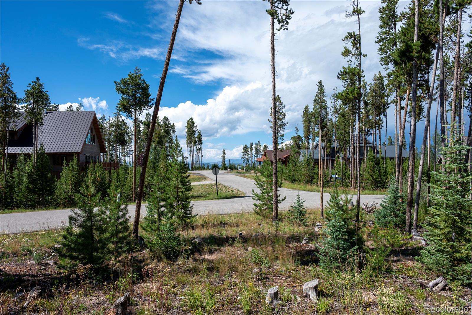 345 Moose Trail