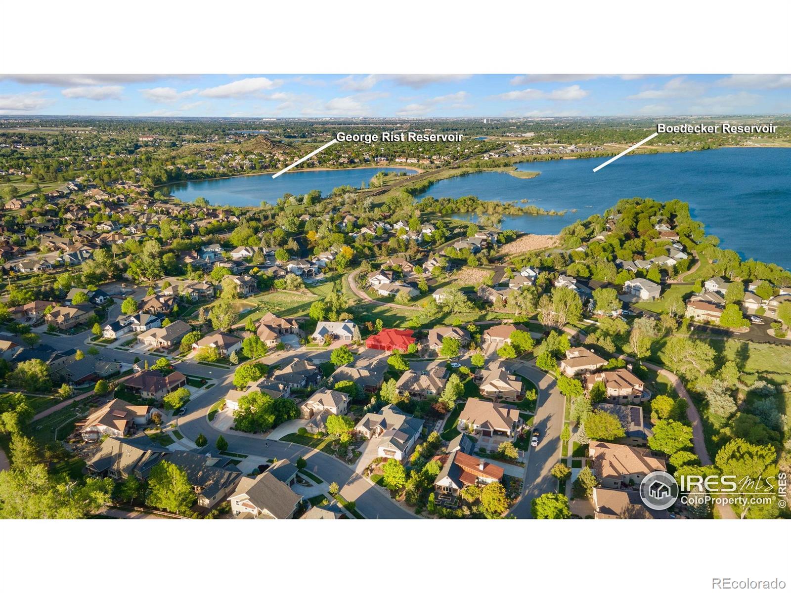 347 Meadowsweet Circle