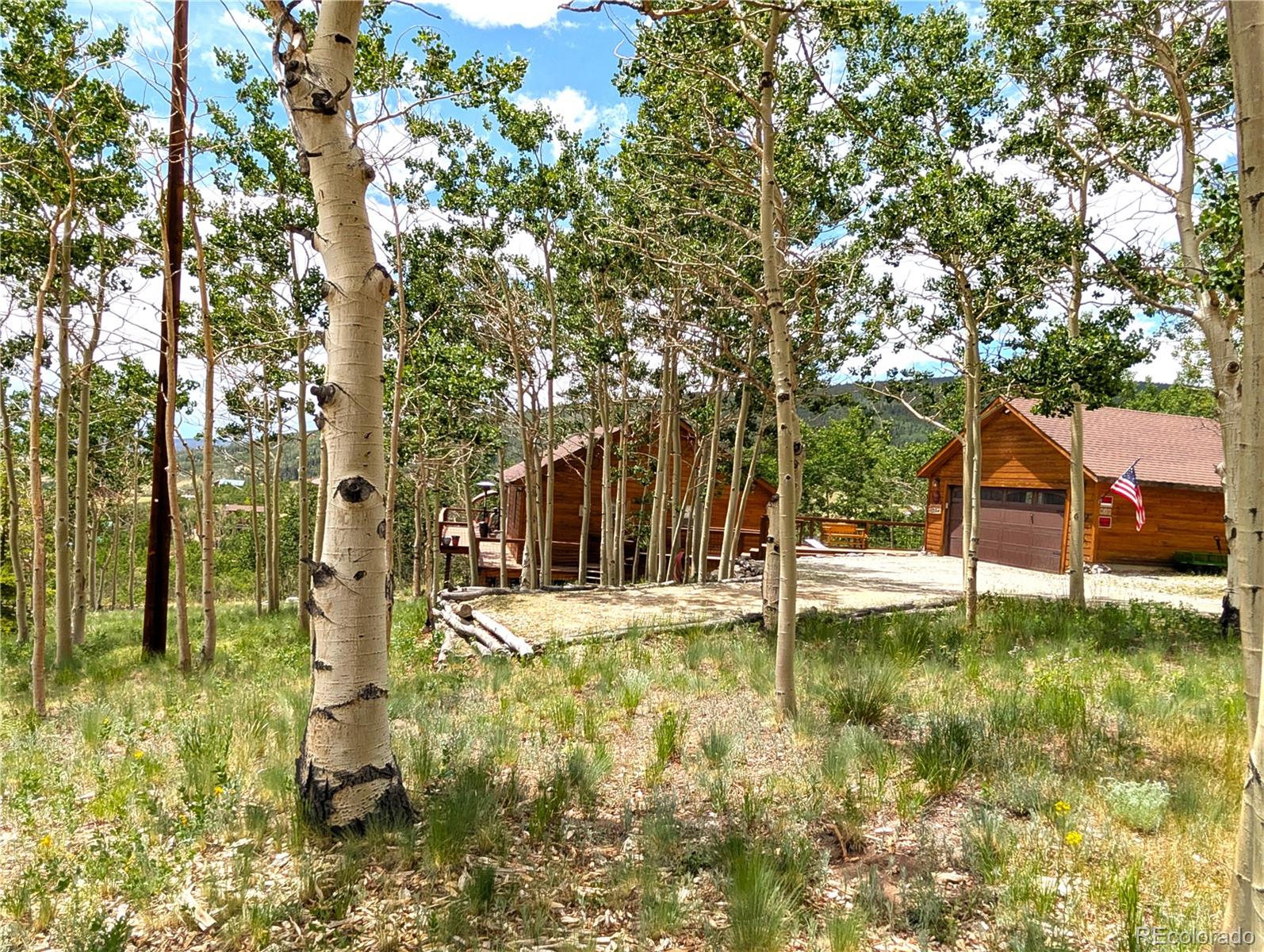 612 Sheep Ridge Road, Fairplay, CO, 80440 4 612 Sheep Ridge Road
