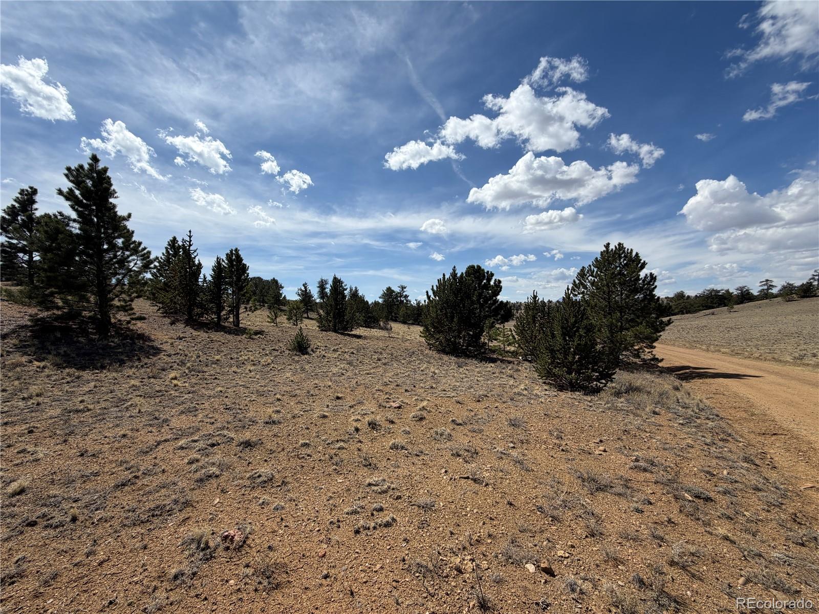 2839 Fitzsimmons Road