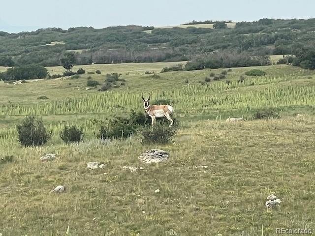 TBD S State Highway 83 - 140 Acres