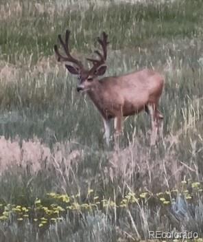 TBD S State Highway 83 - 140 Acres