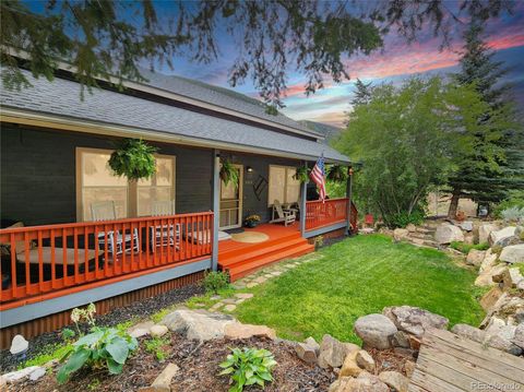1113 Biddle Street Georgetown CO 80444
