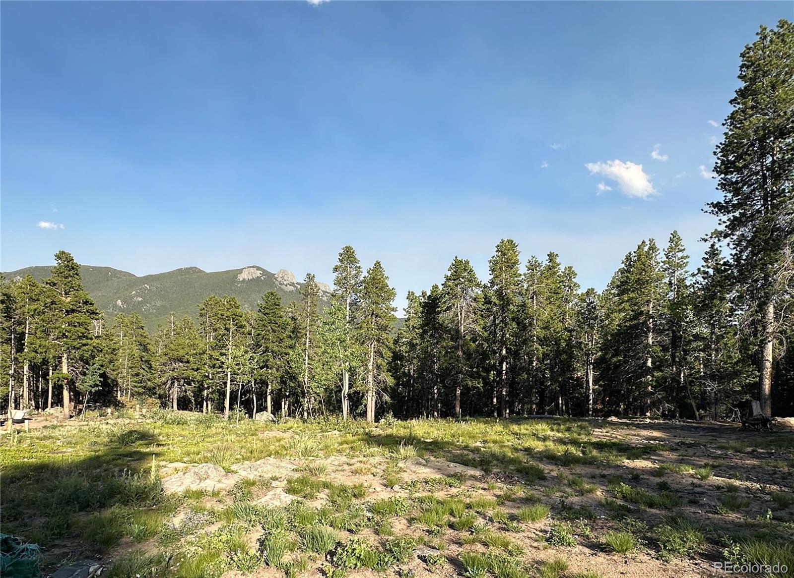 Mountain Meadows