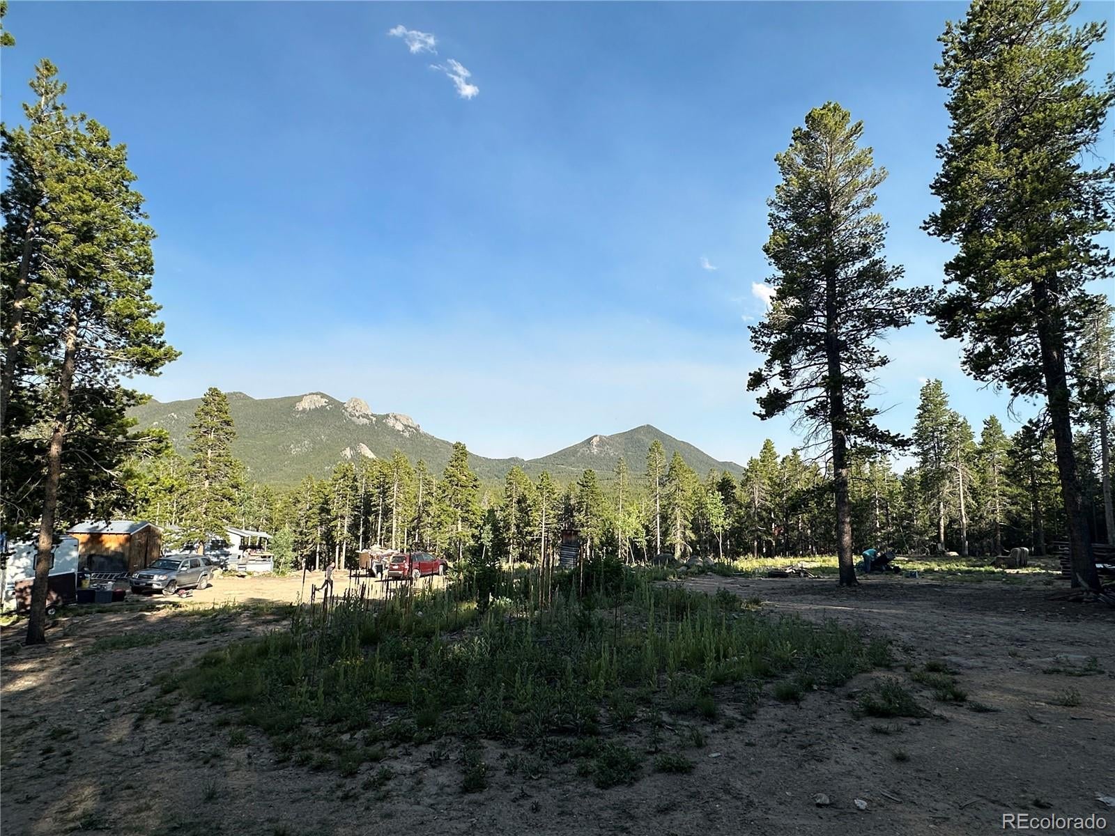 Mountain Meadows