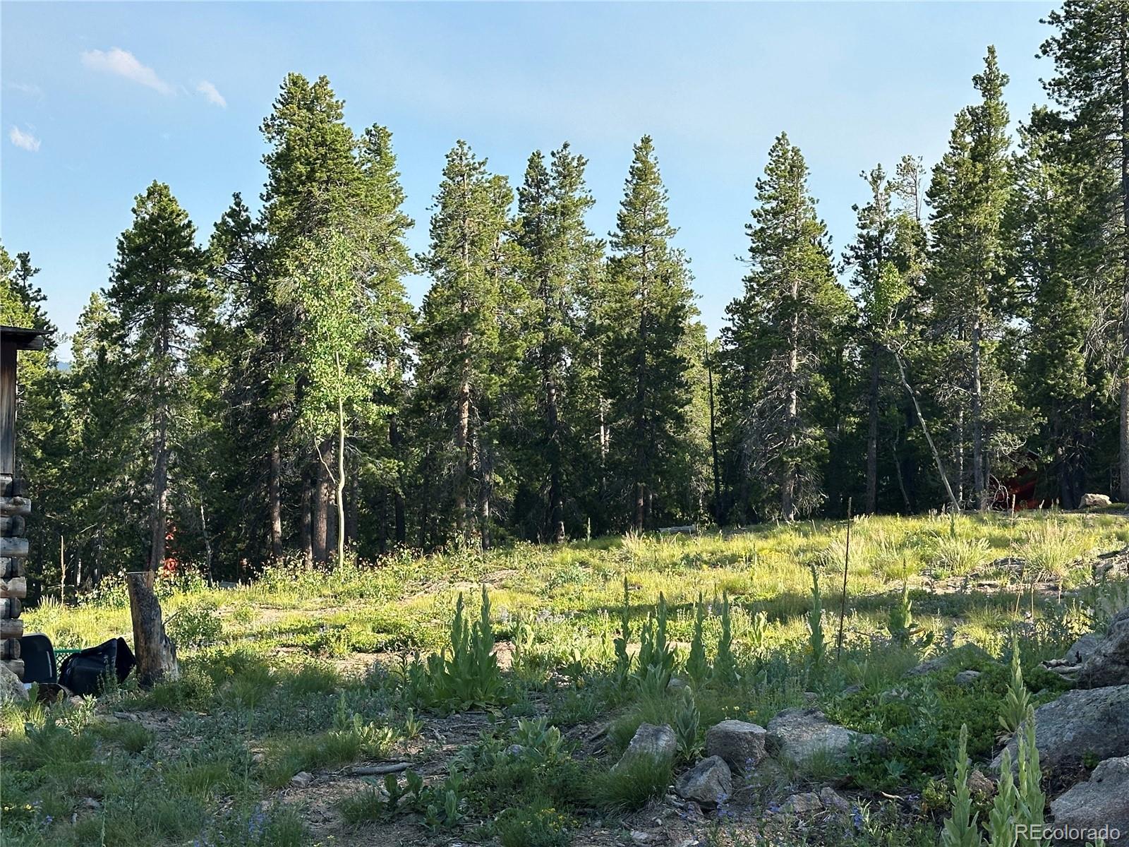 Mountain Meadows