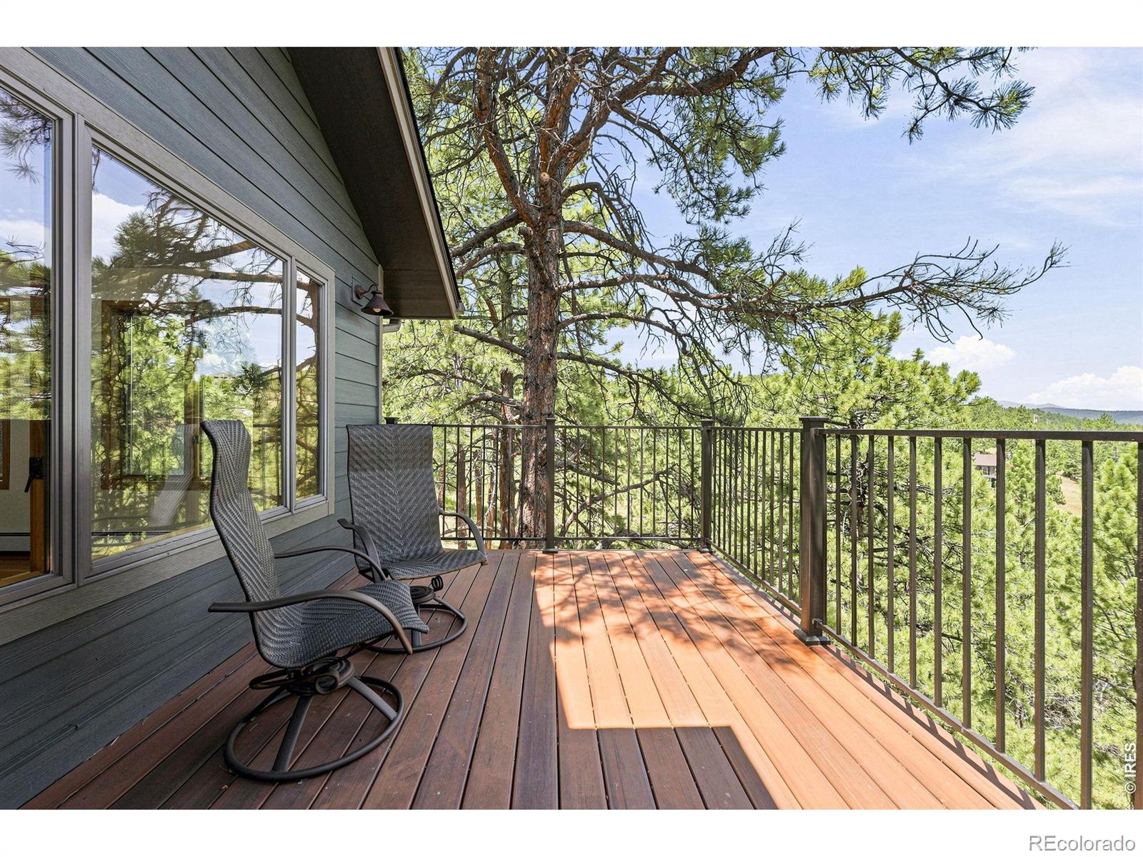 335 Pine Tree Lane