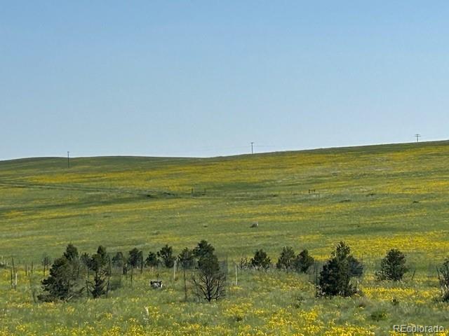 24105 State Highway 86