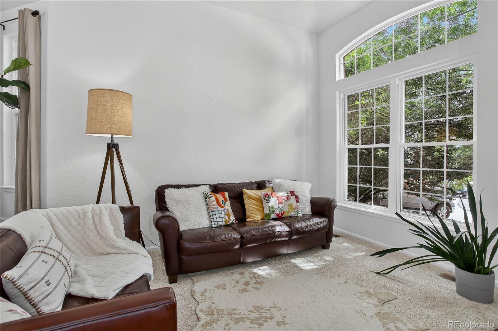 8133 Spikegrass Court