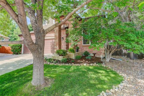8133 Spikegrass Court Castle Pines CO 80108