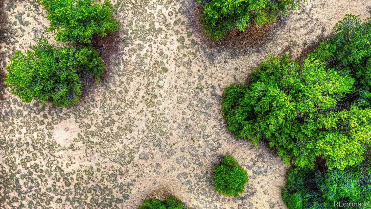 10766 Sawatch Range Road