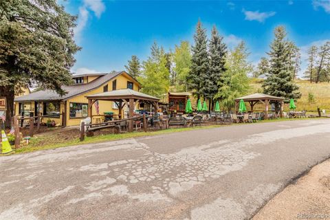 27051 Barkley Road Conifer CO 80433