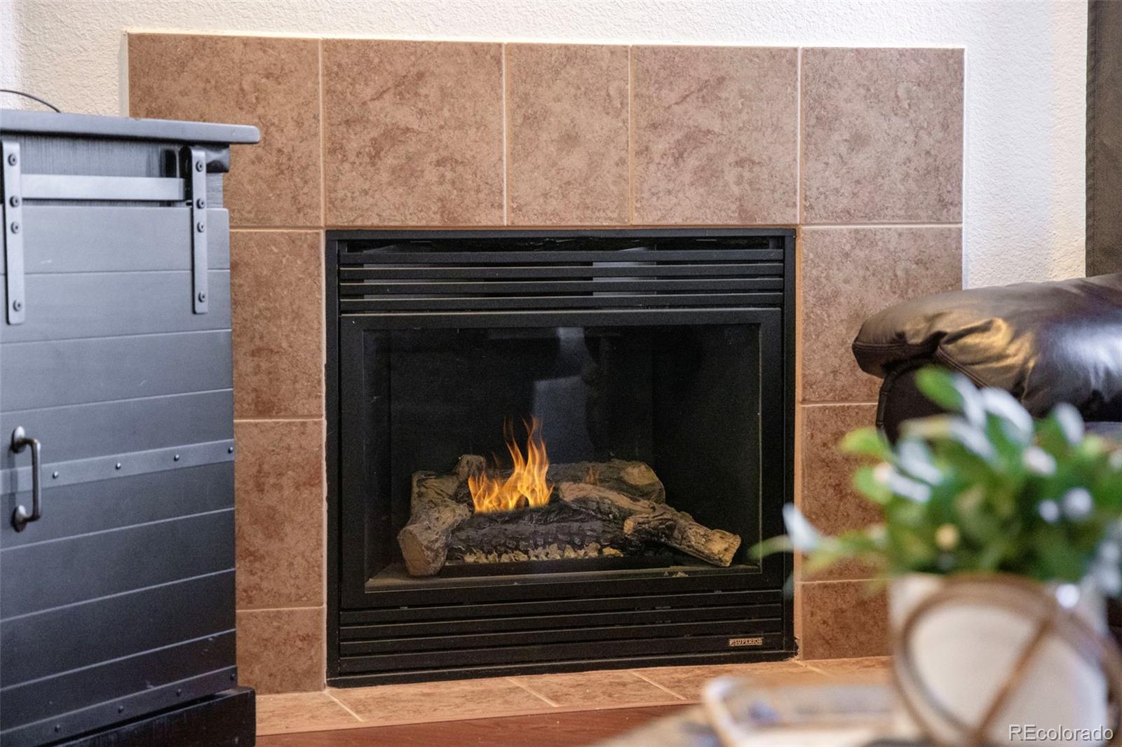 10751 Twenty Mile Road 206