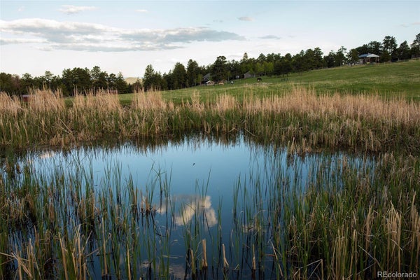 BEAR MTN DR, EVERGREEN, CO 80439 - Image 8c9813dfb37c8f4da285d21df64d6052/551657557