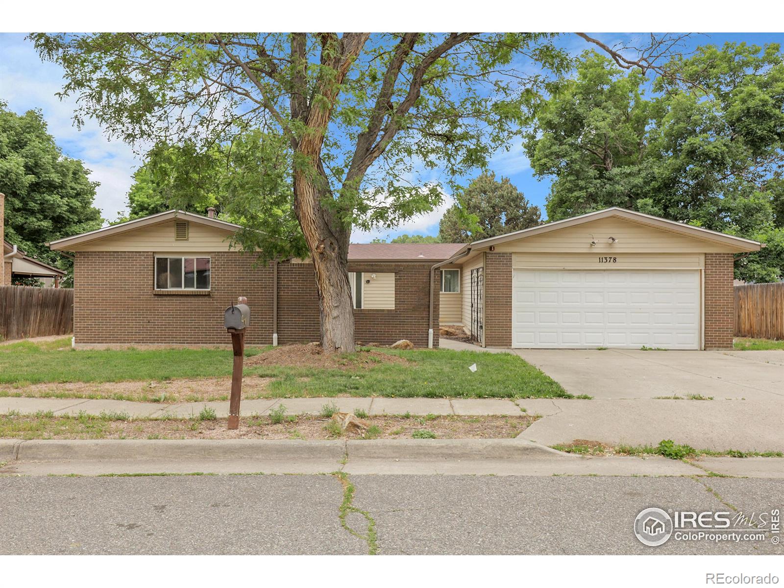 11378 W 68th Way, Arvada, CO, 80004 1 11378 W 68th Way