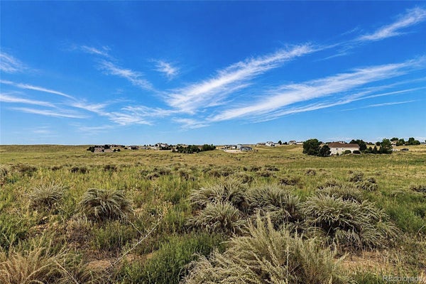 16487 ESSEX RD S, PLATTEVILLE, CO 80651 - Image 8d27da8058cdd2684cb83bb02b04e5d9/4051948764