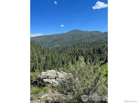 84 Copper Hill Road Glen Haven CO 80532