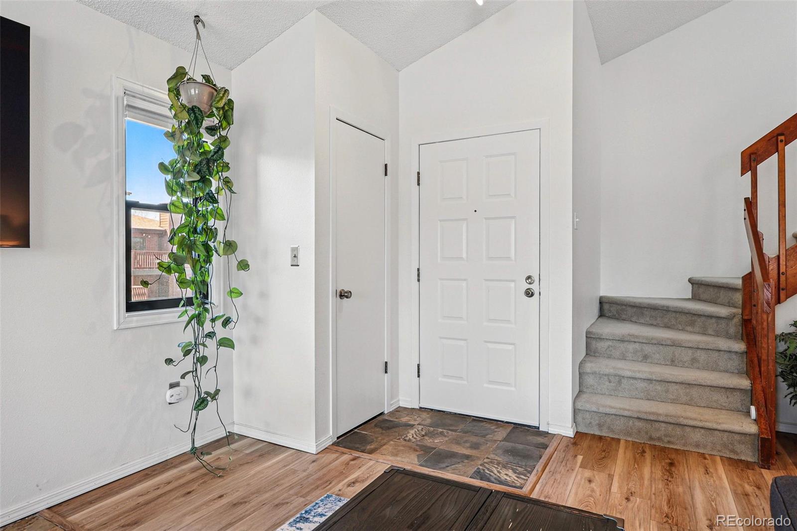 540 S Forest Street 5-204