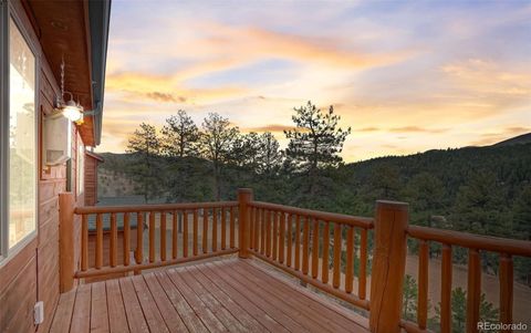 303 Virginia Road C Bailey CO 80421