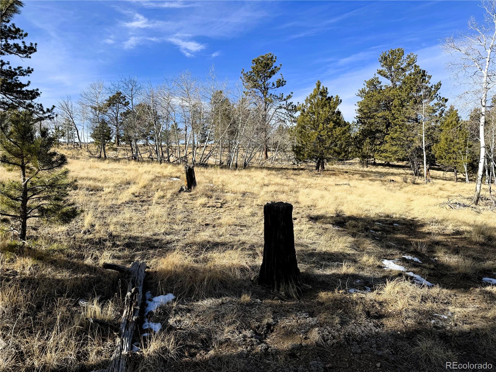 620 Wagon Wheel Road