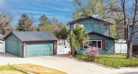 1244 Snowbank Court Longmont CO 80504