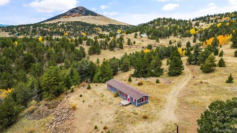 Photo of 406 Burns Drive, Cripple Creek, CO 80813 (MLS # 4770570)