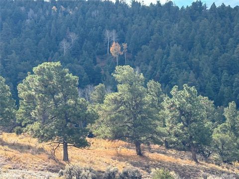 284 Borman Drive Fort Garland CO 81133