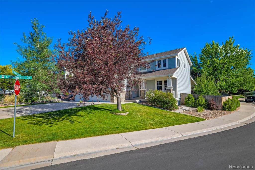 Photo of 11683 Whooping Crane Drive, Parker, CO 80134 (MLS # 9667733)