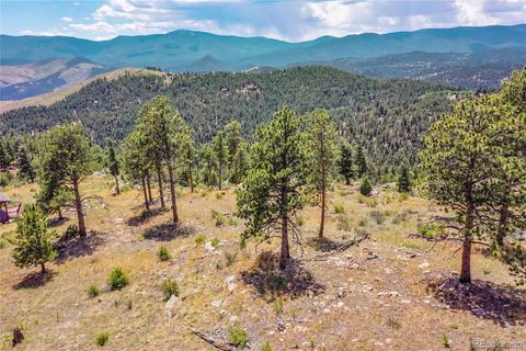 33550 Mount Wilson Trail Pine CO 80470