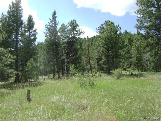 1504 COUNTY ROAD 43, BAILEY, CO 80421 - Image 8ea660425e51147ae4122e2db8b81537/2450700773