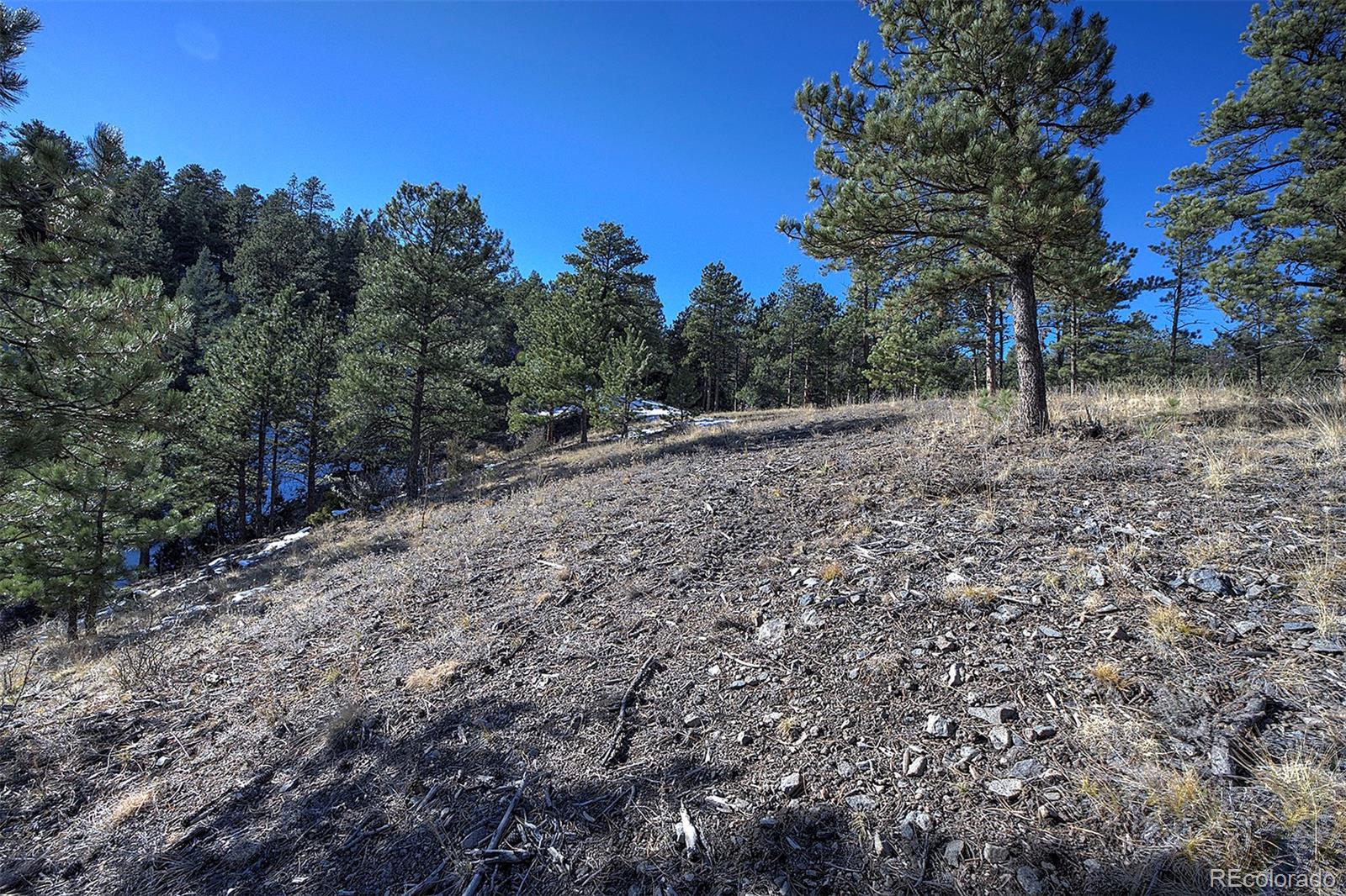 6 Turret Peak Trail