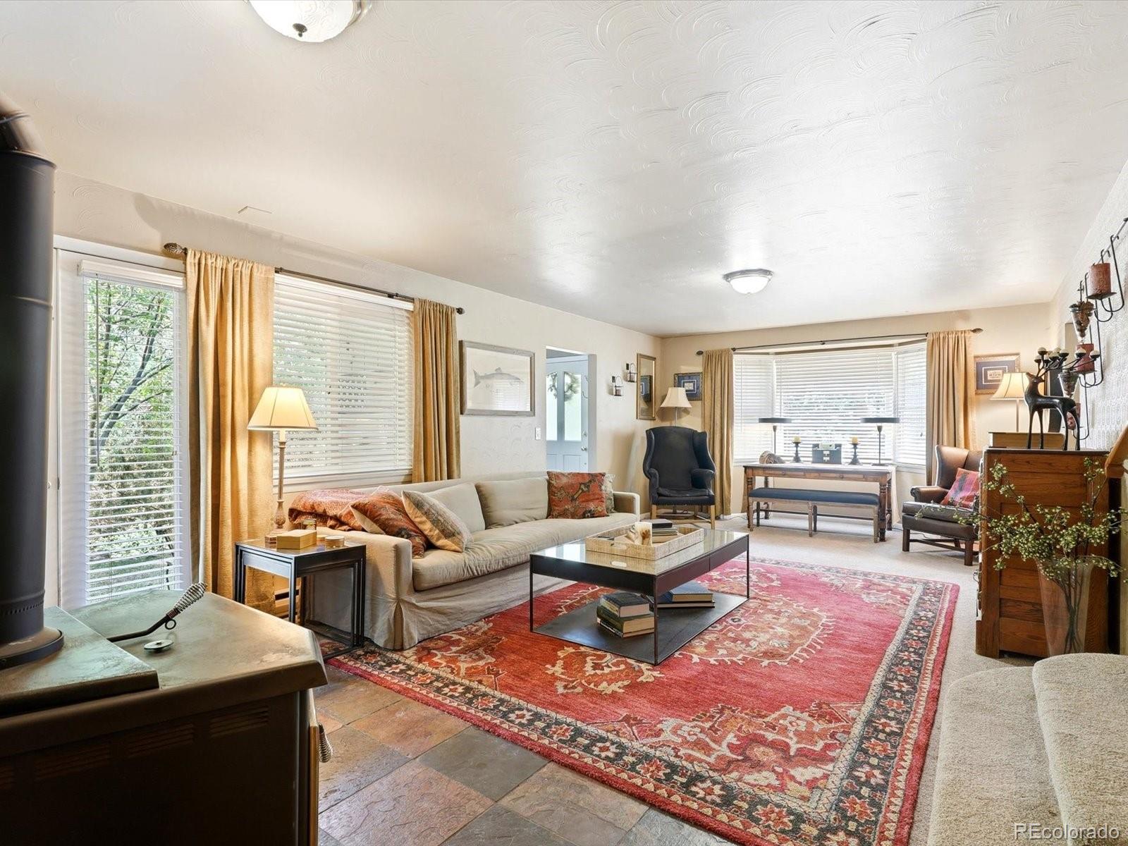 410 E Idaho Springs Road