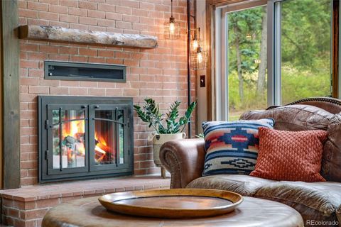 25257 Snyder Avenue Conifer CO 80433