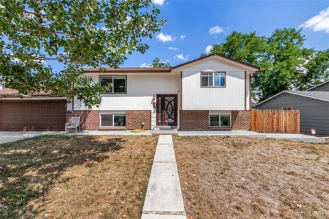 181 Dianna Drive Lone Tree CO 80124