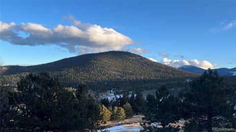 003 Virginia Canyon Road Central City CO 80427